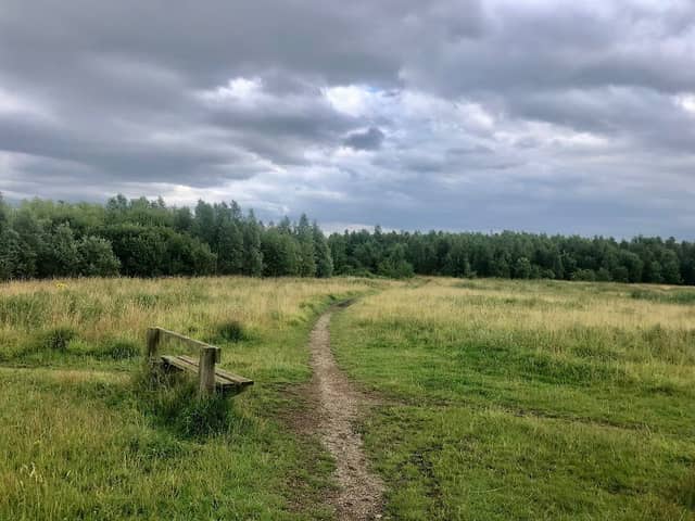 Brookfield's Park Landscape Area - Image 1