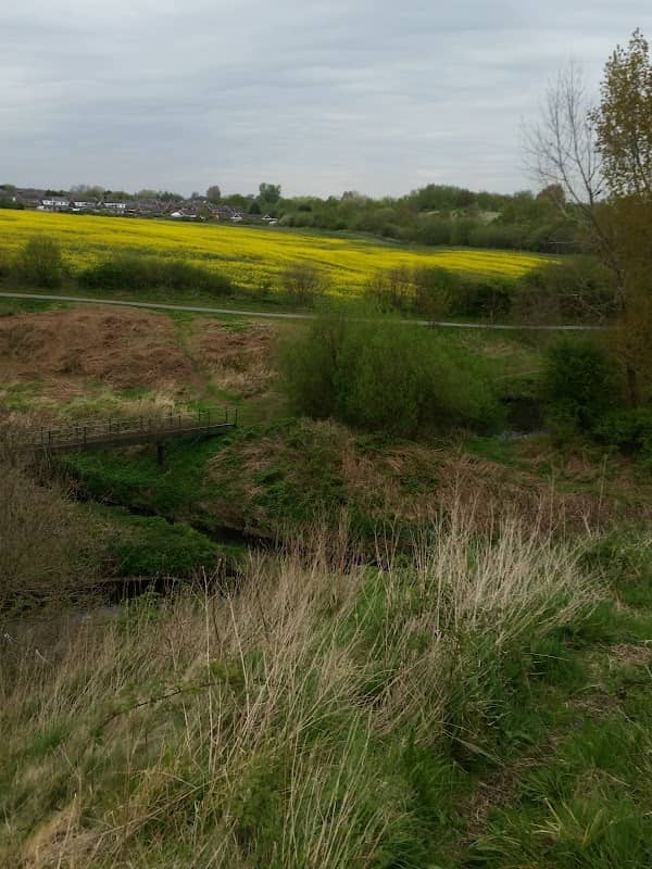Broad Oak Basin - Image 2