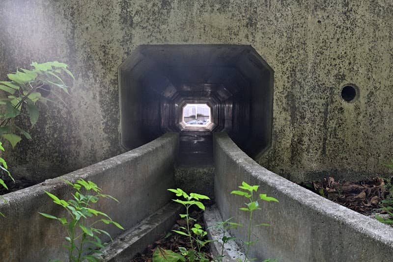 Crab Tunnel - Image 1