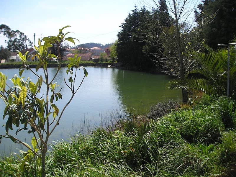 Lagoa do Casal Da Lagoa - Image 1