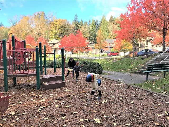 Red Alder Park - Image 2