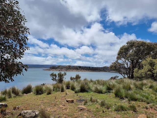 Miena Dam Lookout - Image 1