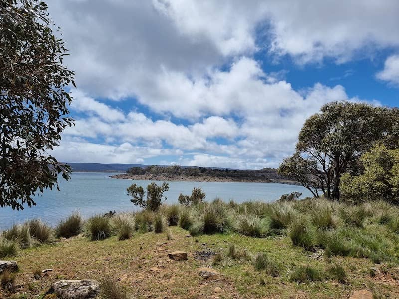 Miena Dam Lookout - Image 1