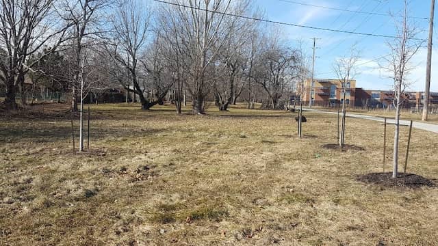 Cumberland Park - Image 2