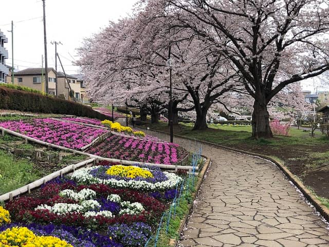 Kanigasawa Park - Image 1