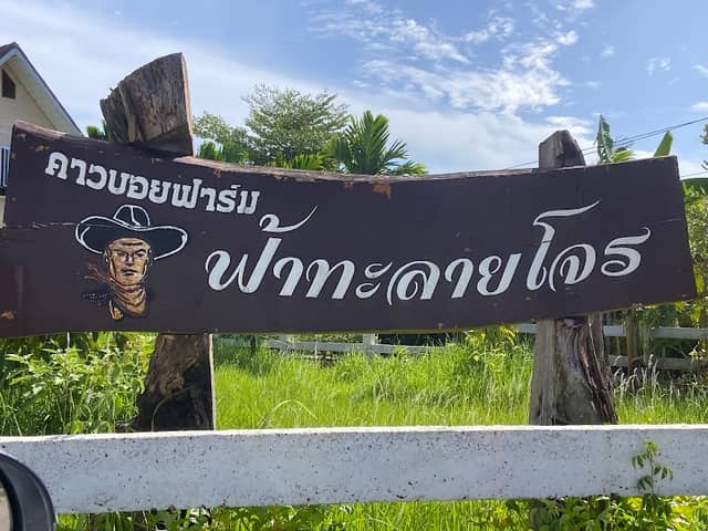 คาวบอยฟาร์ม ฟ้าทะลายโจร (อาจารย์ภักดี แรกวาที) - Image 1