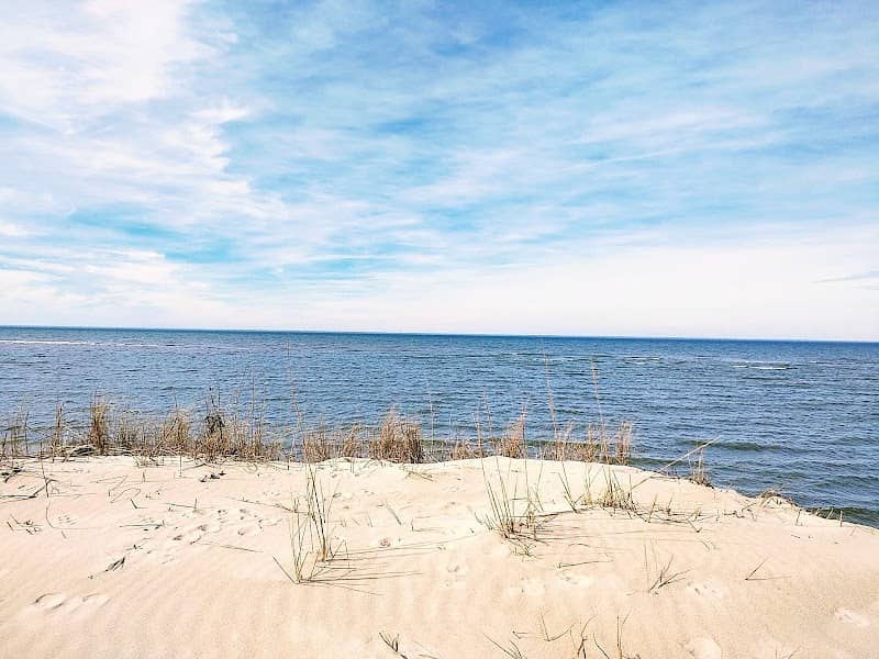 Savage Neck Dunes Natural Area Preserve - Image 3