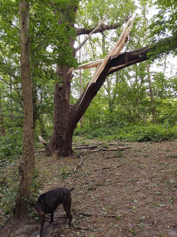 Wandelgebied Canisvliet - Image 1
