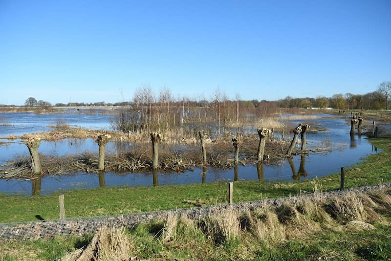 Uiterwaarden - Image 1