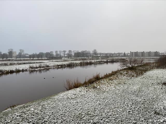 Uiterwaarden - Image 2