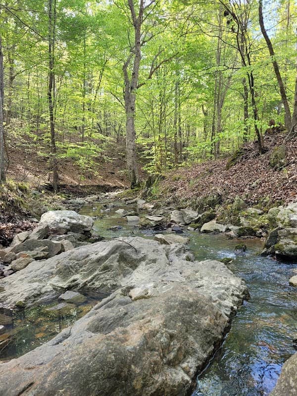 Picture Branch Nature Preserve - Image 2
