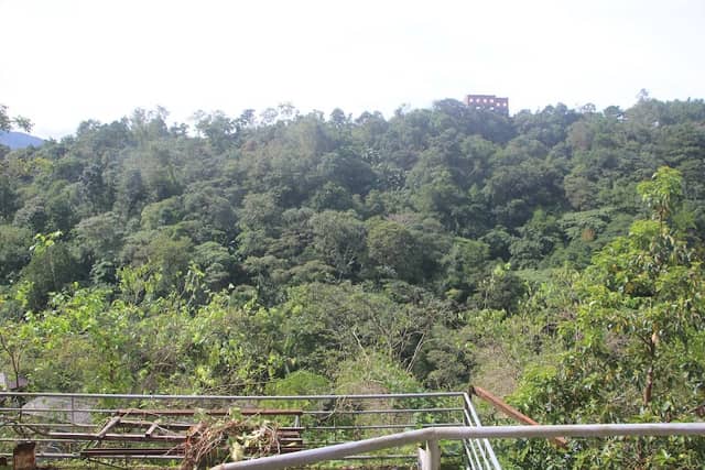 Km 6 Asin Road - Image 1