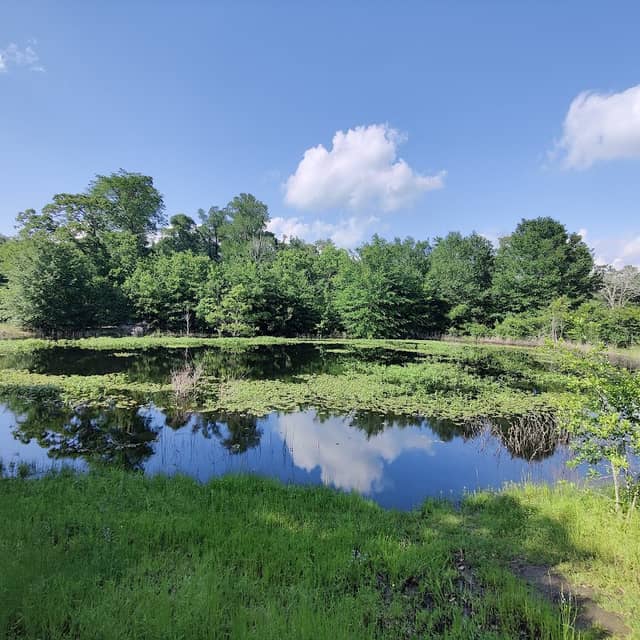 Lick Creek Greenbelt - Image 2
