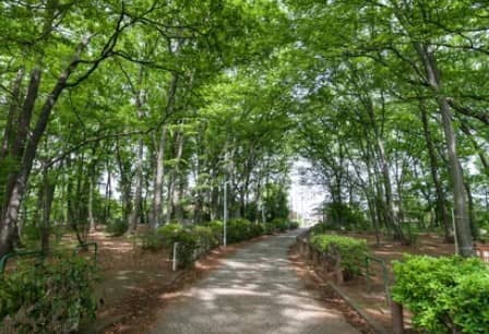McBeth Park - Image 2