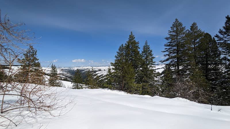 Blue Mountain Forest State Scenic Corridor - Image 1