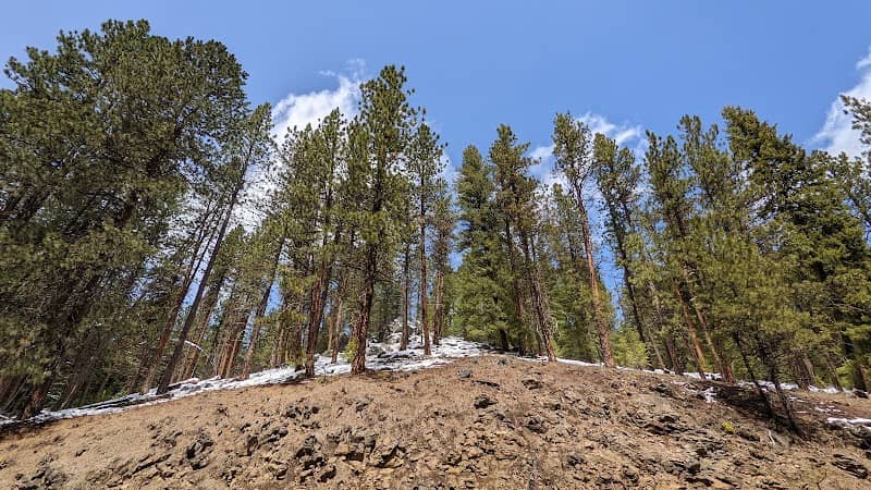 Blue Mountain Forest State Scenic Corridor - Image 2