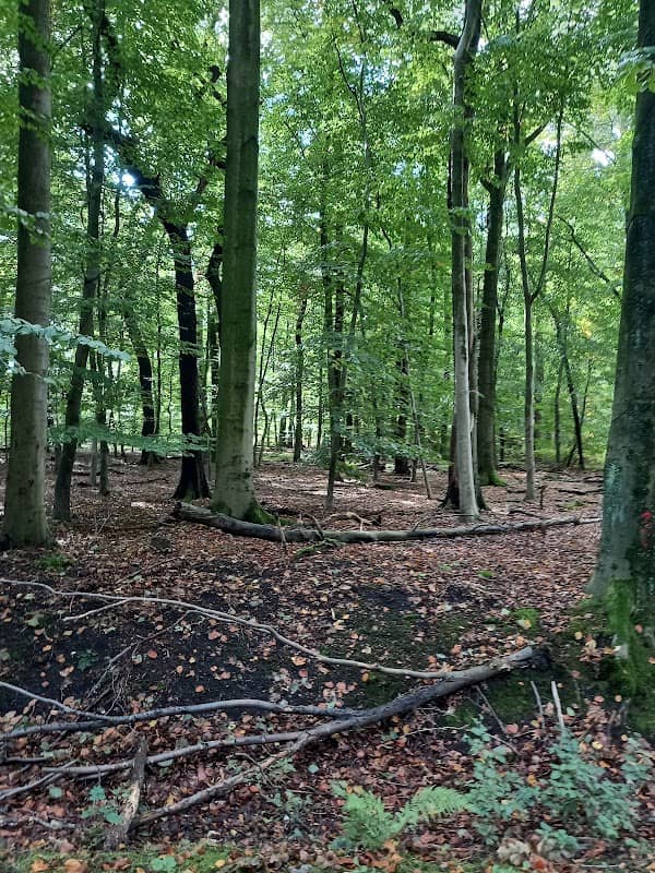 Schimmelsheider Park - Image 1