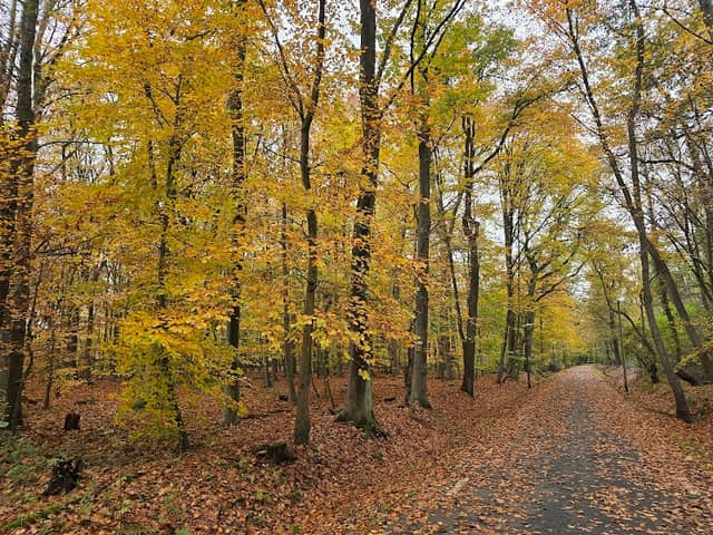 Schimmelsheider Park - Image 2