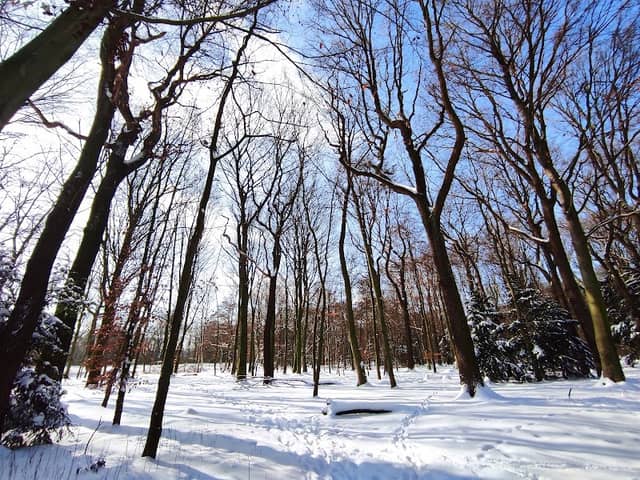 Schimmelsheider Park - Image 3