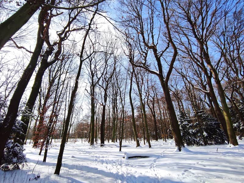 Schimmelsheider Park - Image 3
