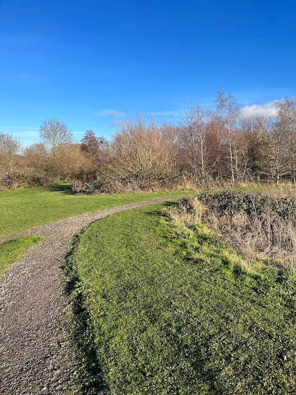 Churchdown Park Ponds - Image 1