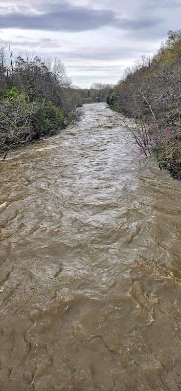 The Chutes - Image 2