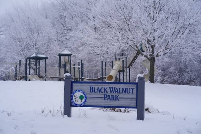 Black Walnut Park - Image 1