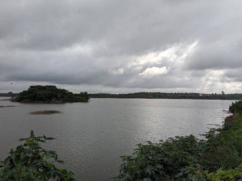 Chikkamadhure Lake - Image 1