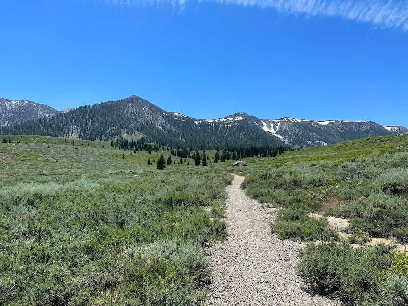 Mammoth Rock Trail End - Image 2