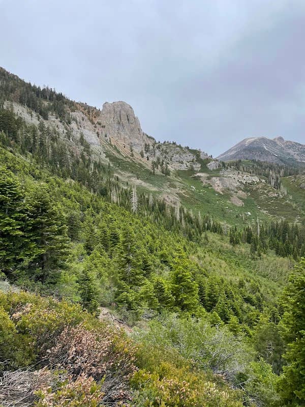 Mammoth Rock Trail End - Image 3