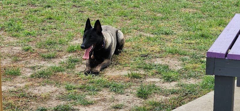 Heartland Off Leash Dog Park - Image 1