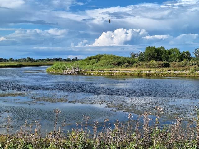 Howard Marsh Metropark - Image 2