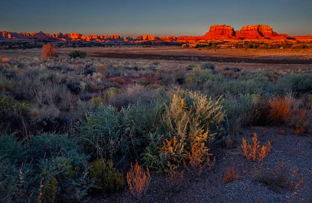 Needles District Canyonlands - Image 3