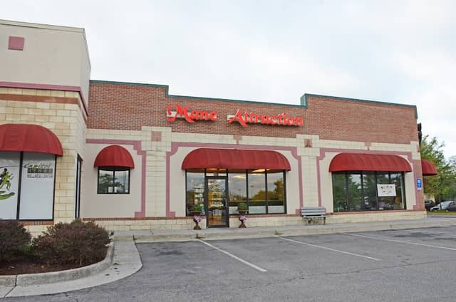 Mane Attraction Salon & Wellness Spa - Image 1