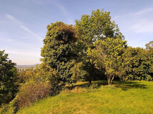 Park Na Aušperku - Image 1