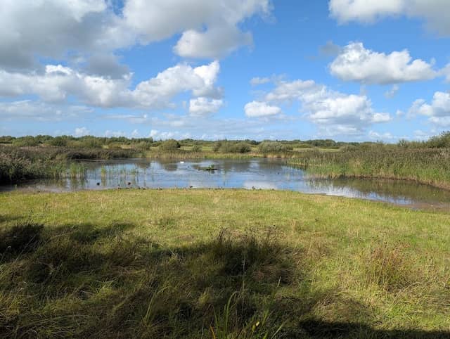Watchtree Nature Reserve - Image 2
