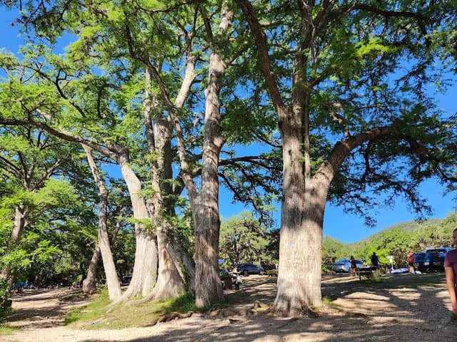 Garner Dam and Picnic Area - Image 1