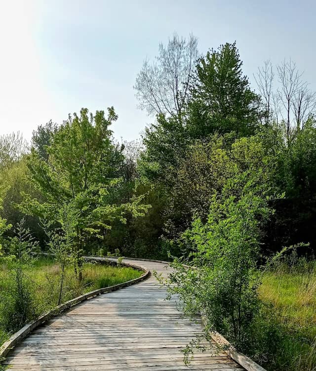 Craddock Wetlands - Image 1