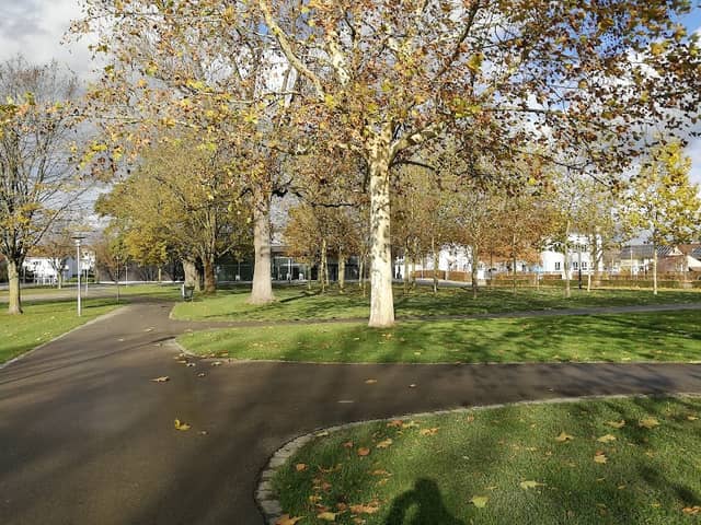 City Park - Image 1