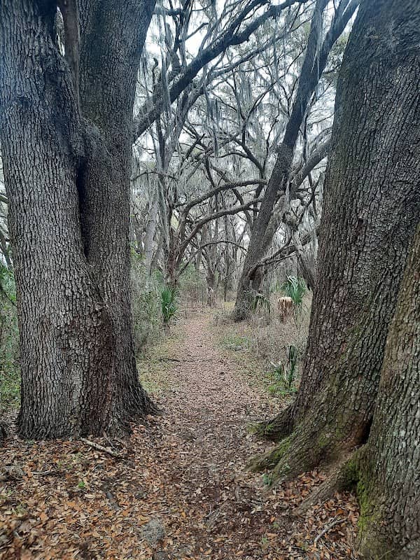 Halapata Tastanaki Preserve - Image 2