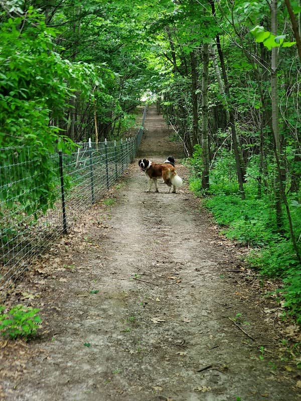 Elm Creek Park Reserve - Dog Off-leash Area - Image 3