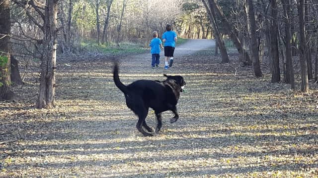 Elm Creek Park Reserve - Dog Off-leash Area - Image 2