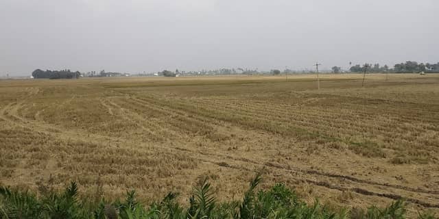 Dhasaratha Nagar Park - Image 1