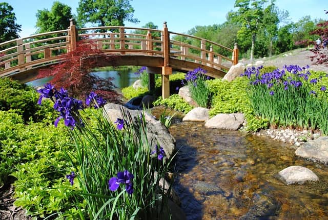 Wellfield Botanic Gardens - Image 2