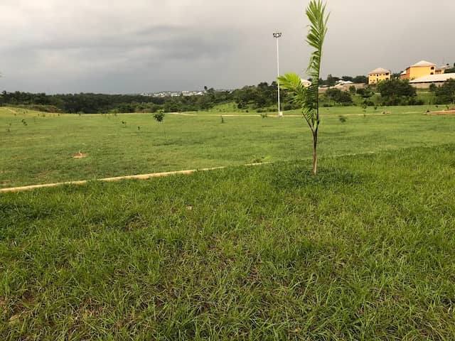 Uyo Green Park - Image 1