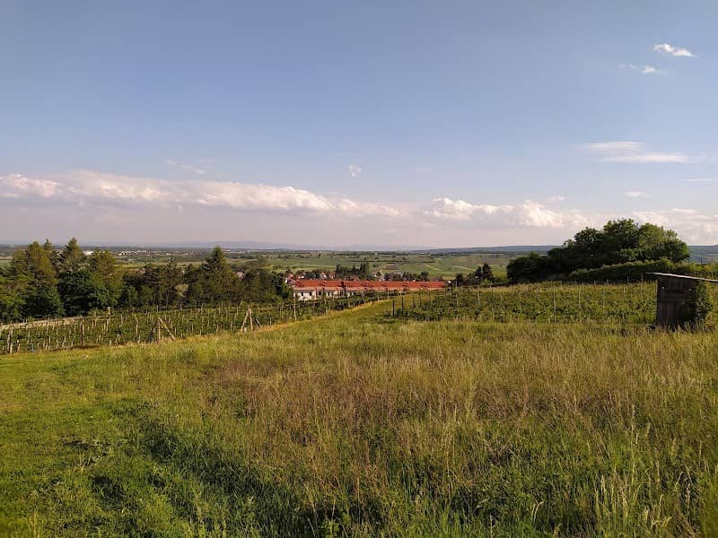 Kapitularegarten - Image 1