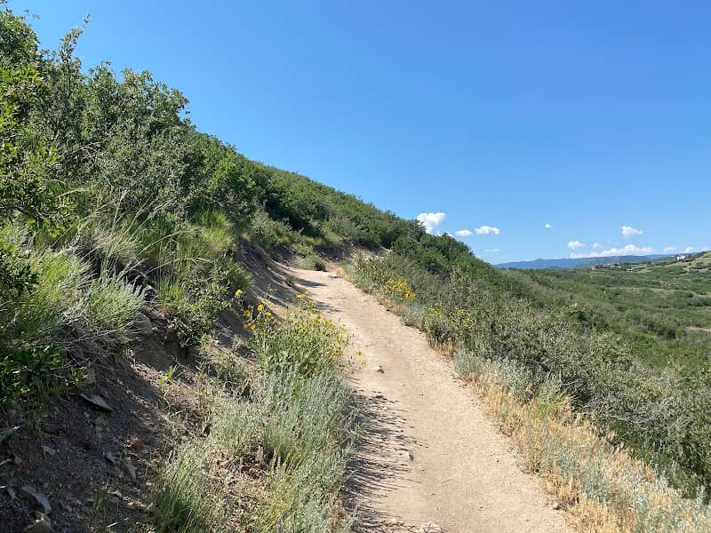 Challenge Hill and Trails at Philip S. Miller Park - Image 2