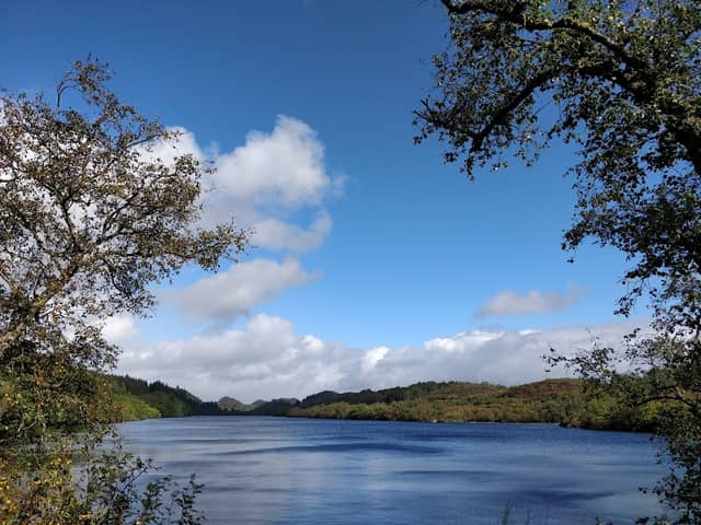 Knapdale Scottish Beaver Trail - Image 2