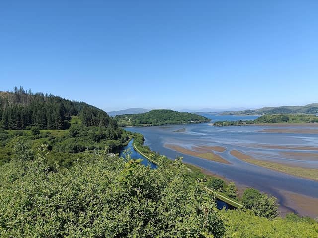 Knapdale Scottish Beaver Trail - Image 1