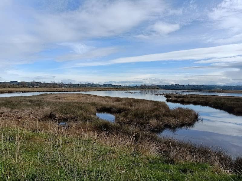 Wildlife refuge viewing area - Image 1